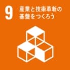 SDGs9